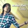 Wader Pari