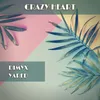Crazy Heart Radio Edit