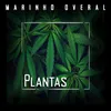 Plantas