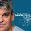 About По встречной Song