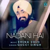 About Nadani Hai Song