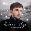 About Dene ushye Song