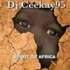 About Spirit of Africa Song