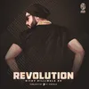 About Revolution Song