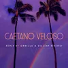 About Caetano Veloso Song