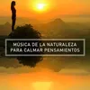 Relax Music Of Healing Yoga