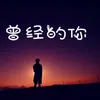 男儿有泪不轻弹(RemixDJ版)
