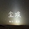 About 尘埃 Song