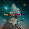 Ngừng Mộng Mơ Instrumental Version