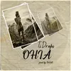 About Ohia Song