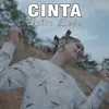 About Cinta Bikin Bodo Song