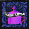 About Rabbit Hole Love Is What You Make It Song