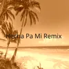 About Hecha Pa' Mi Remix Song