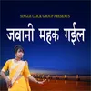 About Jawani Mahak Gail Song