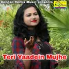 About Teri Yaadein Mujhe Song