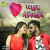 About Pyar Ne Nibhaije Song