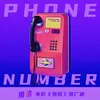 Phone Number 伴奏