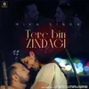 About Tere Bin Zindagi Song