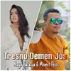 About Tresno Demen Jos Song
