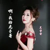 About 啊，我的虎子哥 Song