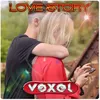 About Love Story Radio Edit Song