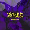 About Ziomale Song