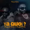 About Ya Quoi ? Song