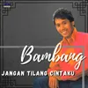 Jangan Tilang Cintaku