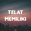 About Telat Memiliki Song