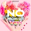 About No Promises Song