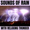 Relaxing Rain with Thunder