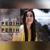 Pedih perih Dhut Mix