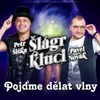 About Pojďme dělat vlny Song