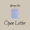 About Open Letter Song