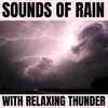 Relaxing Rain with Thunder