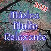 About Música Muito Relaxante Song