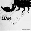 About liar Song