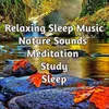 Relaxing Sleep Music with Nature Sounds