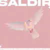 About Saldır Song