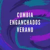 About Cumbia Enganchados Verano Song