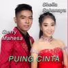 About Puing Cinta Song