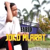 About Joko Mlarat Song