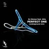 About Perfect One Underground Mix Song