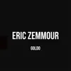 About Eric Zemmour Song