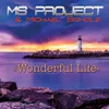 Wonderful Life Radio Edit