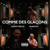 About Comme des glaçons Song