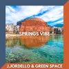 Springs Vibe Extended Mix