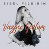 About Vazgeç Gönlüm Song