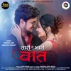 About Tari Ne Mari Vaat Song