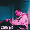 About Slow Mo Song